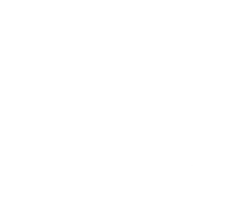 Ayers Painting Logo